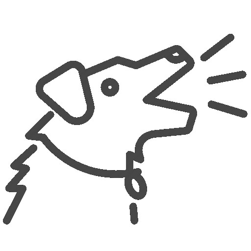 Bark